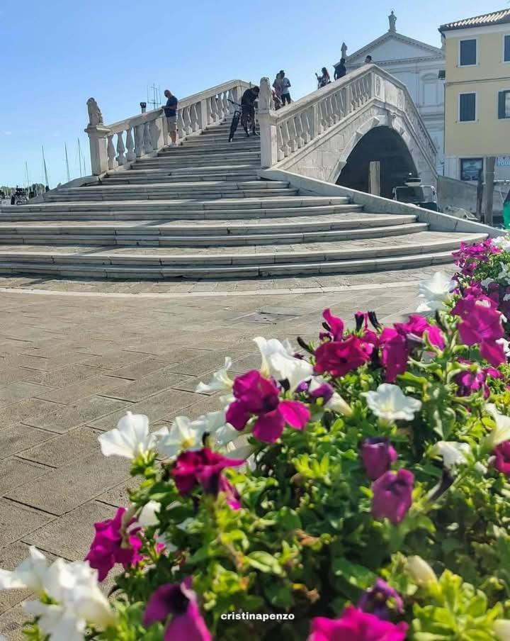 La Caletta Apartment Chioggia Bagian luar foto
